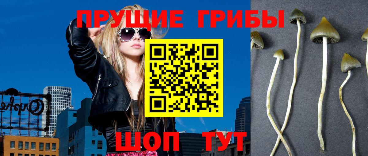 Дедовск  Псилоцибиновые грибы Magic Shrooms  Вход с VPN  Псилоцибиновые грибы мухоморы 